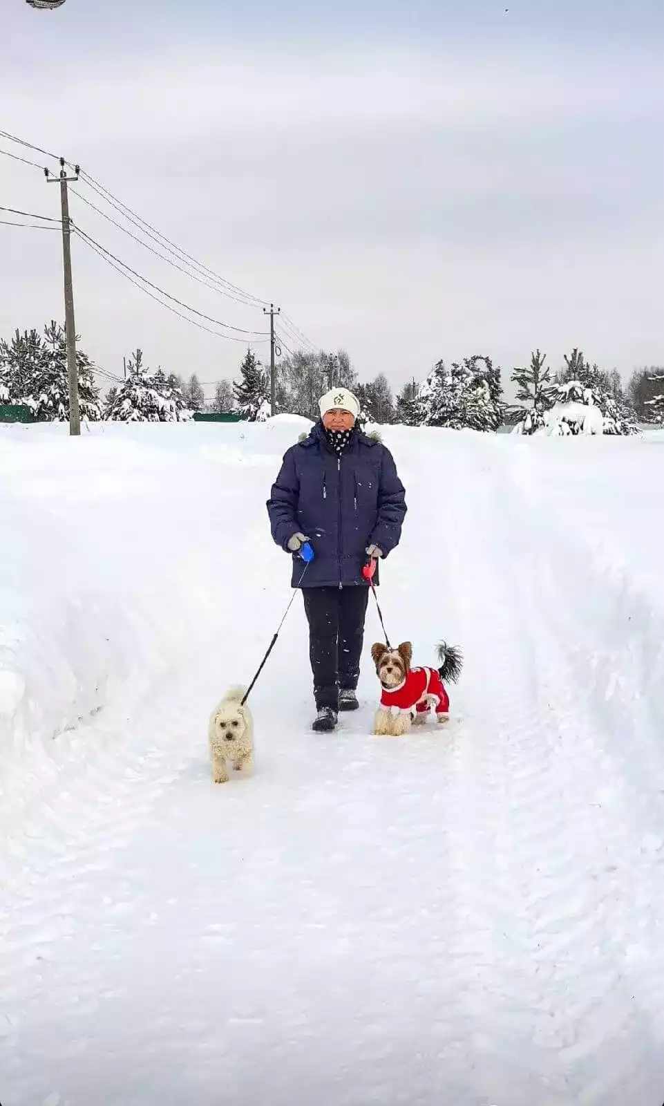 Фото из галерии. Собаки на природе.